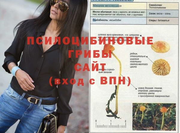 прущая мука Магас
