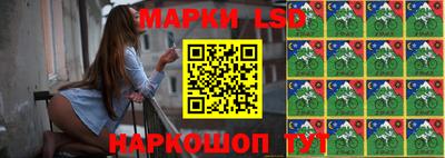 стаф Будённовск