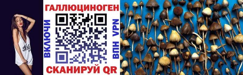 маркетплейс как зайти  Воронеж  Галлюциногенные грибы Psilocybine cubensis  купить наркотик 
