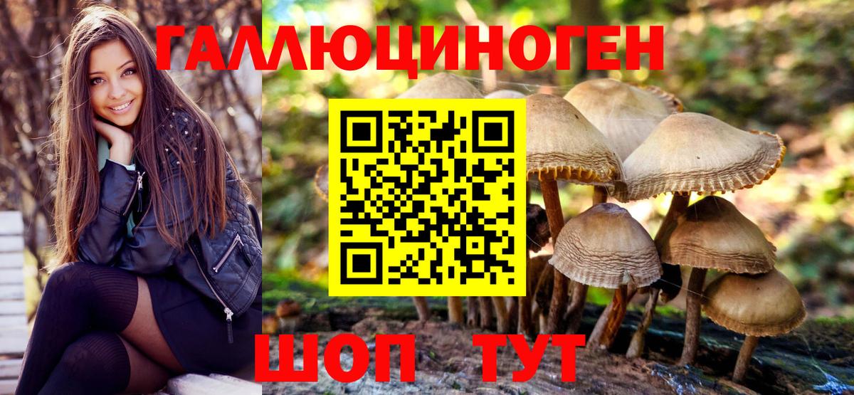 НБОМе Воронеж