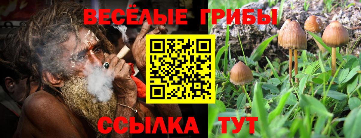 Галлюциногенные грибы прущие грибы Воронеж