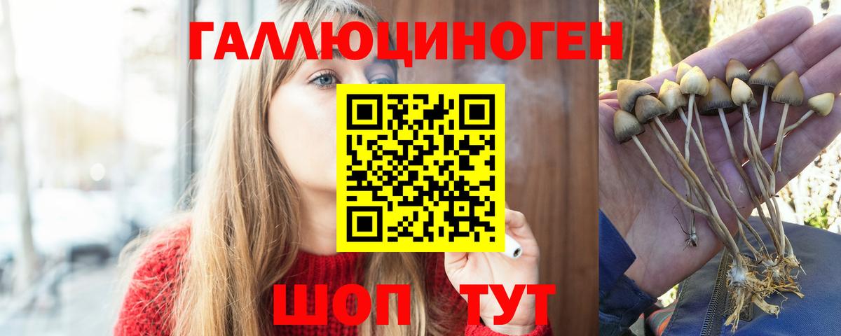 купить закладку  Воронеж  Псилоцибиновые грибы Magic Shrooms 